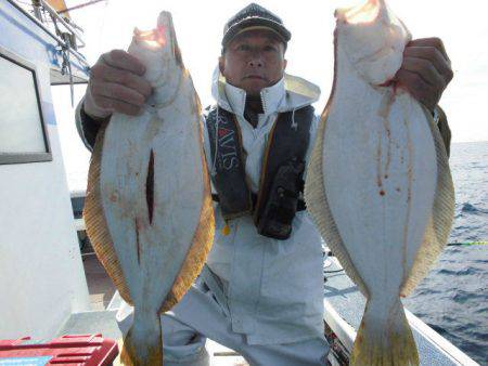 大進丸（愛知） 釣果