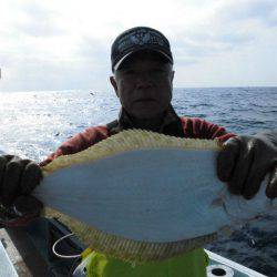 大進丸（愛知） 釣果