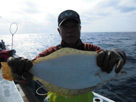 大進丸（愛知） 釣果