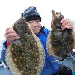 大進丸（愛知） 釣果