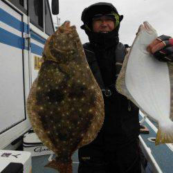 大進丸（愛知） 釣果