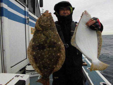 大進丸（愛知） 釣果