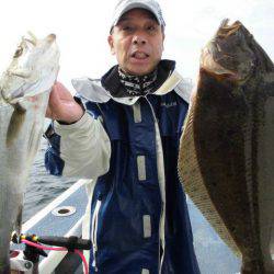 大進丸（愛知） 釣果