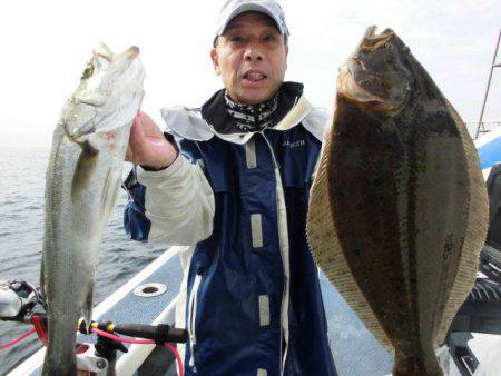 大進丸（愛知） 釣果