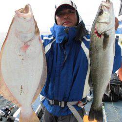 大進丸（愛知） 釣果