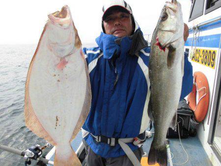 大進丸（愛知） 釣果