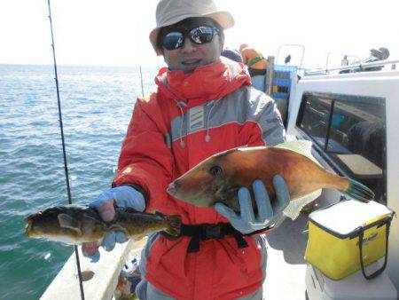 大進丸（愛知） 釣果