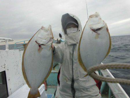 大進丸（愛知） 釣果