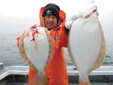 大進丸（愛知） 釣果