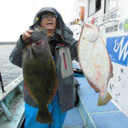 大進丸（愛知） 釣果