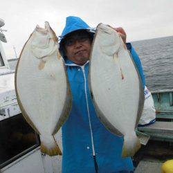 大進丸（愛知） 釣果