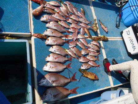 十八宝洋丸 釣果