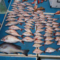 十八宝洋丸 釣果