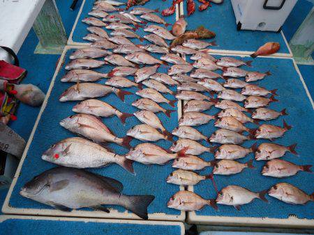 十八宝洋丸 釣果