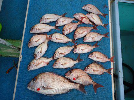 十八宝洋丸 釣果