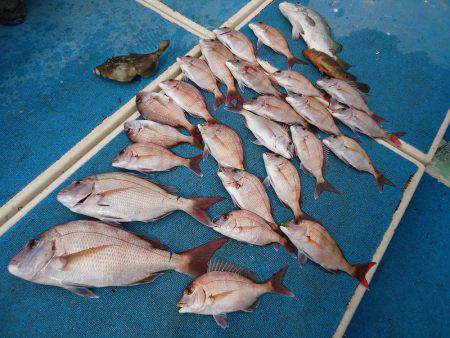 十八宝洋丸 釣果