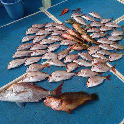 十八宝洋丸 釣果