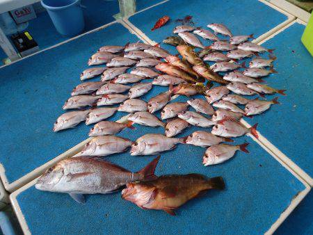 十八宝洋丸 釣果