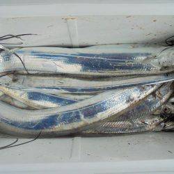 ＨＡＲＵＫＡ丸　はるかまる 釣果