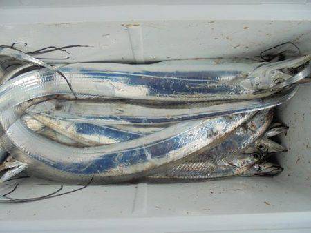 ＨＡＲＵＫＡ丸　はるかまる 釣果