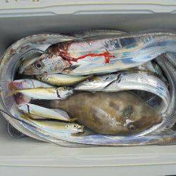 HARUKA丸 はるかまる 釣果