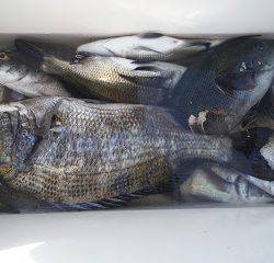 バラモン1号 釣果