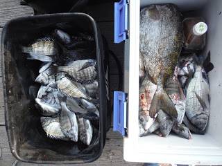 バラモン1号 釣果