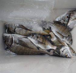 バラモン1号 釣果