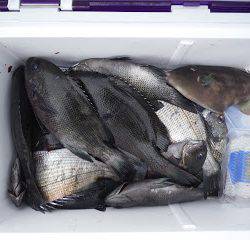 バラモン1号 釣果