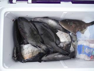 バラモン1号 釣果