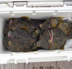 バラモン1号 釣果