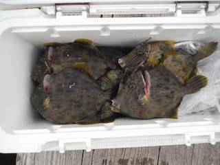 バラモン1号 釣果