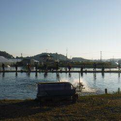 浜名湖フィッシングリゾート 釣果