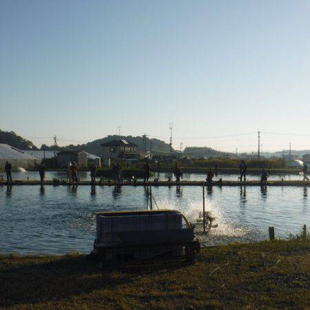 浜名湖フィッシングリゾート 釣果