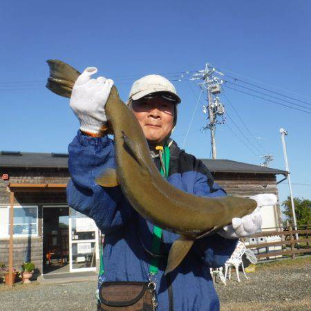 浜名湖フィッシングリゾート 釣果