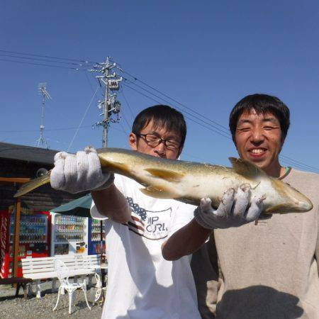浜名湖フィッシングリゾート 釣果