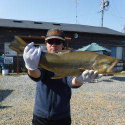 浜名湖フィッシングリゾート 釣果