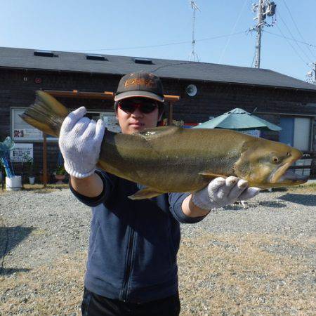 浜名湖フィッシングリゾート 釣果