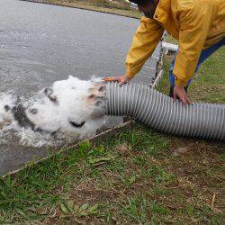 浜名湖フィッシングリゾート 釣果