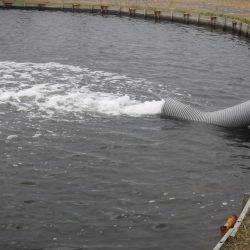 浜名湖フィッシングリゾート 釣果