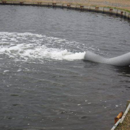 浜名湖フィッシングリゾート 釣果
