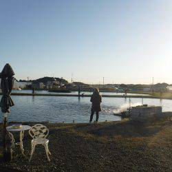 浜名湖フィッシングリゾート 釣果