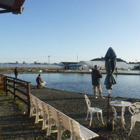 浜名湖フィッシングリゾート 釣果