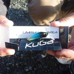 浜名湖フィッシングリゾート 釣果