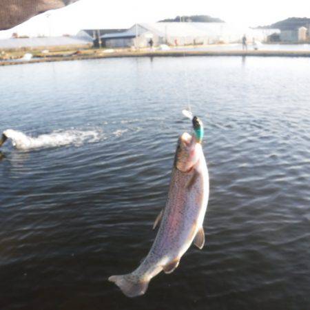 浜名湖フィッシングリゾート 釣果