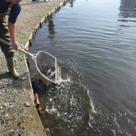 浜名湖フィッシングリゾート 釣果