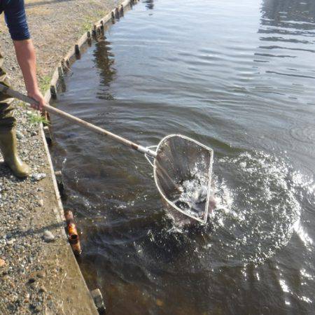 浜名湖フィッシングリゾート 釣果