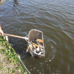 浜名湖フィッシングリゾート 釣果