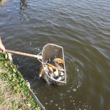 浜名湖フィッシングリゾート 釣果