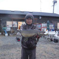 浜名湖フィッシングリゾート 釣果